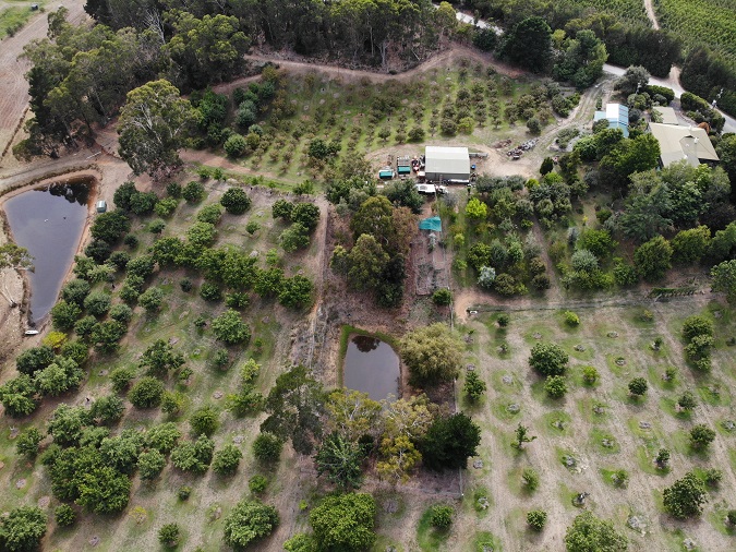 Photo Gallery Adelaide Hills Fresh Chestnuts